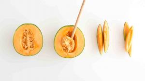 IQF Conventional Cantaloup